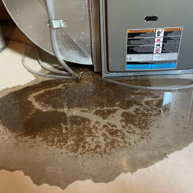 Pipe Burst and Leak Restoration in Idaho Falls, ID